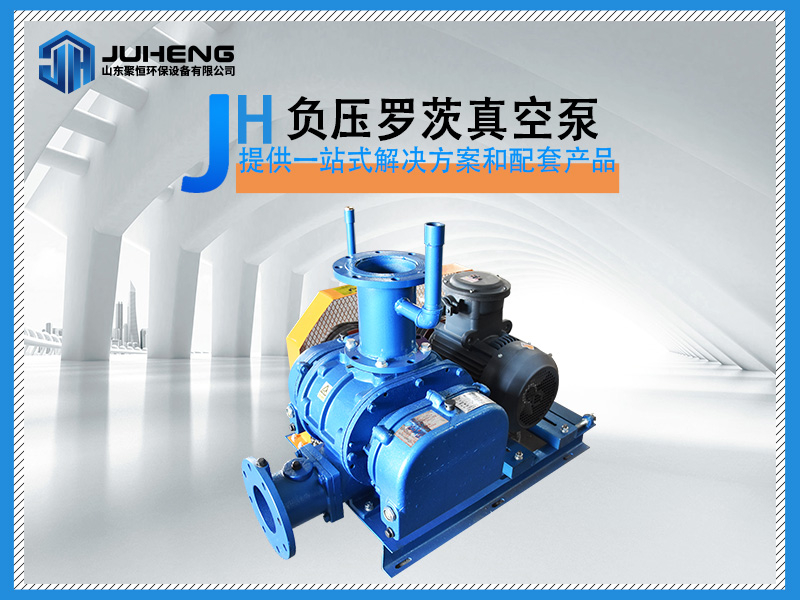 負(fù)壓羅茨真空泵